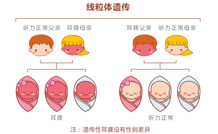 注意耳聋基因筛查要趁早