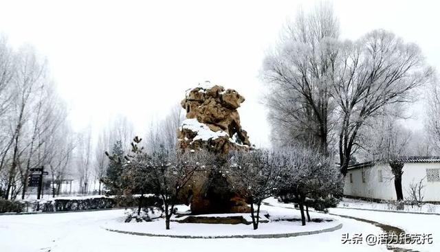 雪花飞简谱_我像雪花天上来简谱(2)