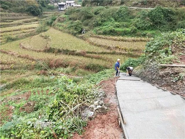 丰都中坪村产业发展齐头并进村容村貌焕然一新