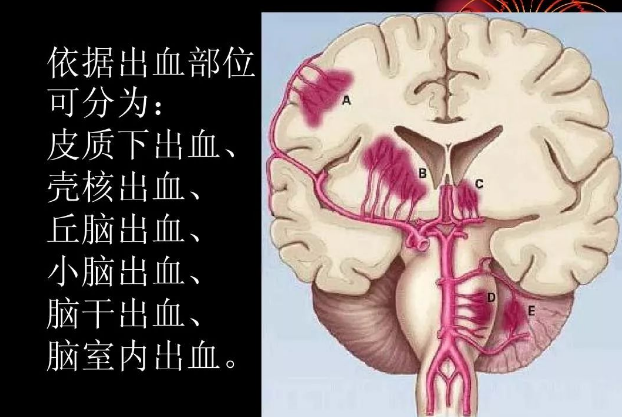 501e940bcbb1467a9be6214e952e2d7e.png