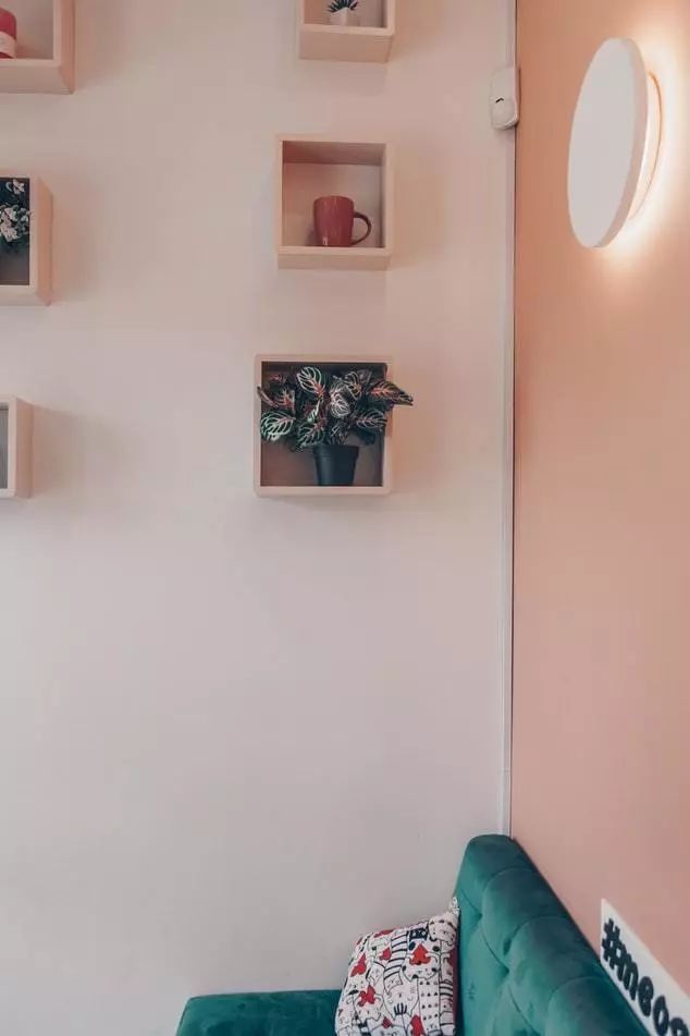 装修墙壁颜色绿 507dd466c6474a2799babdbc9d49cd65.jpeg