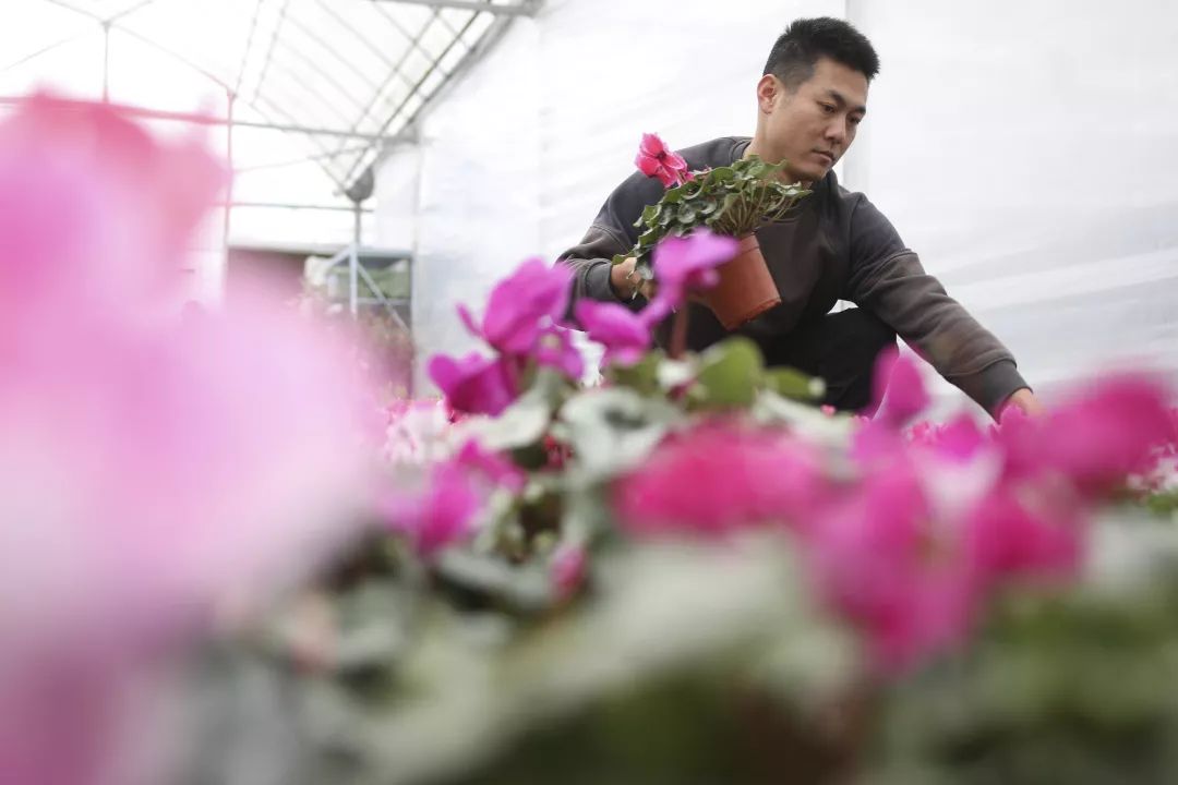 卖鲜花的直播 574c8030e4e646fe821de10158087340.jpeg