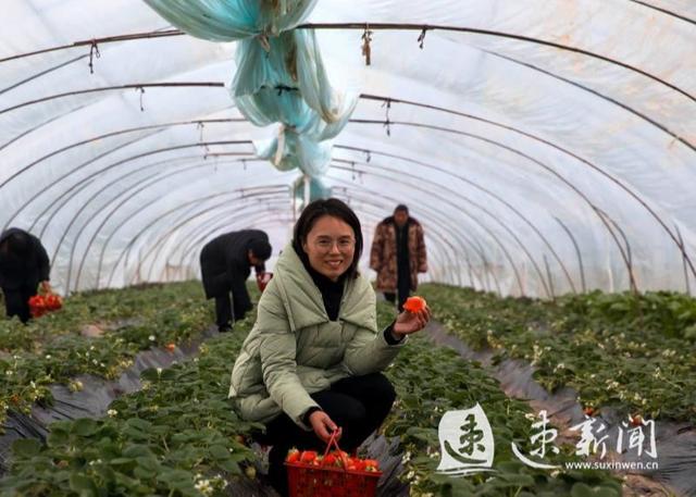 沭阳"开花结果"中的扶贫项目_西圩乡