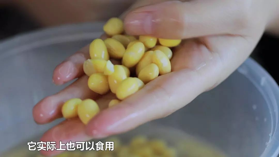 黄豆芽怎么泡发芽 6836dc0861d641f9a3a67b5d995020b1.jpeg