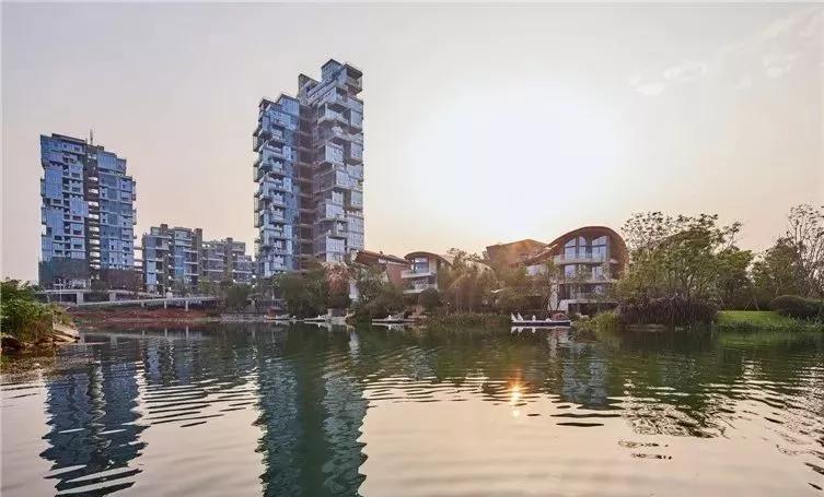 奇点智库"神盘 麓湖生态城"神"在哪里?