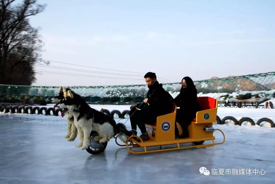 雪地摩托狗拉雪橇田野滑雪烧烤火锅妥家村乡村旅游节就要这样玩