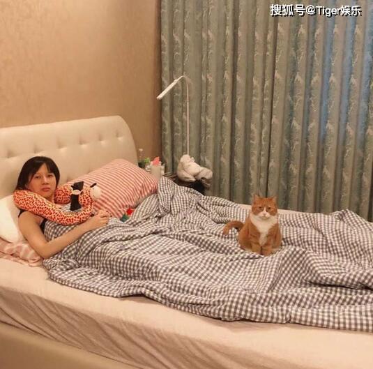 papi酱孕肚照曝光,素颜躺床上配文搞笑