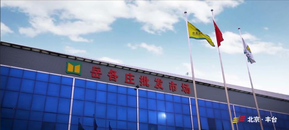 中关村经济总量是多少_17岁正常长度是多少