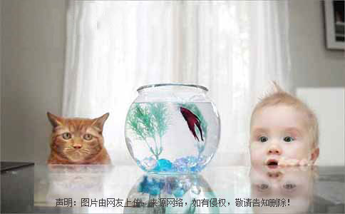9148339f0ccf4bf3a7a58f131264acef.jpeg