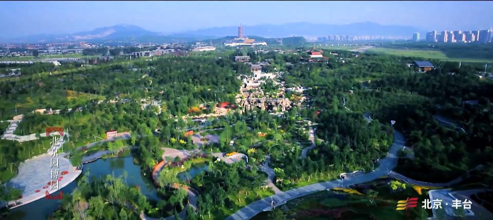 中关村经济总量是多少_17岁正常长度是多少(2)