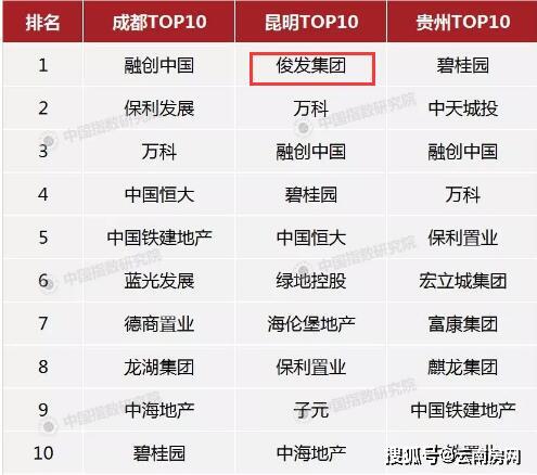 俊发地产排名_俊发地产李俊老婆陈燕(3)