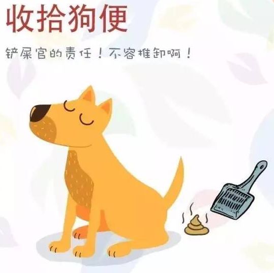 【雅乐居物业】文明养犬小知识_狗狗