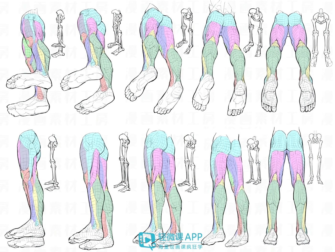 漫画腿部画法教程,腿部结构的绘画讲解!