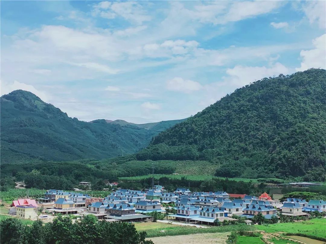 勐仑镇人口_勐仑镇地图(2)