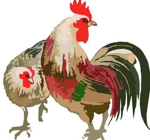 偷香竊玉，攜财而去。竞戏踏金钗双股打一生肖猜一个动物，经典解答落实