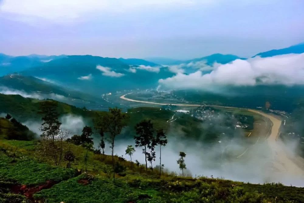 杨地镇人口_商洛市山阳县杨地镇