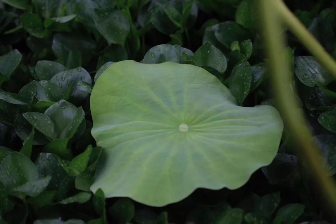 女儿,我不祝你好看,祝你成功!70后妈妈一封信