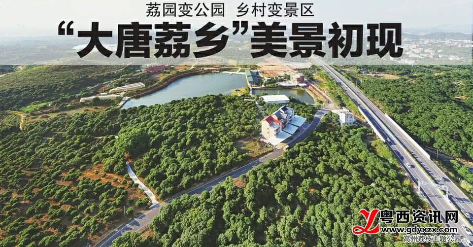 高州市根子镇:"大唐荔乡"美景初现