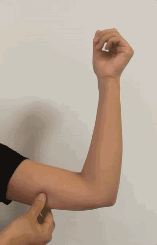 c6413fcb8dc54ee79bfe941d7459a97b.gif