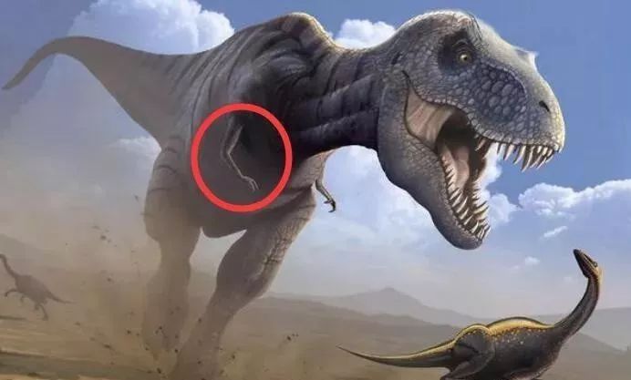 释疑丨恐龙界一哥霸王龙它的那对小手手是干什么用的