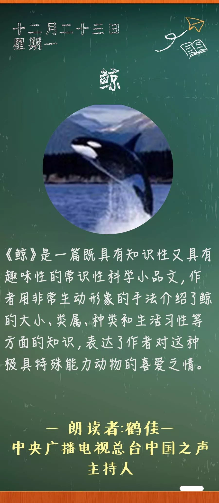 《鲸》丨那些年,我们一起读过的课文