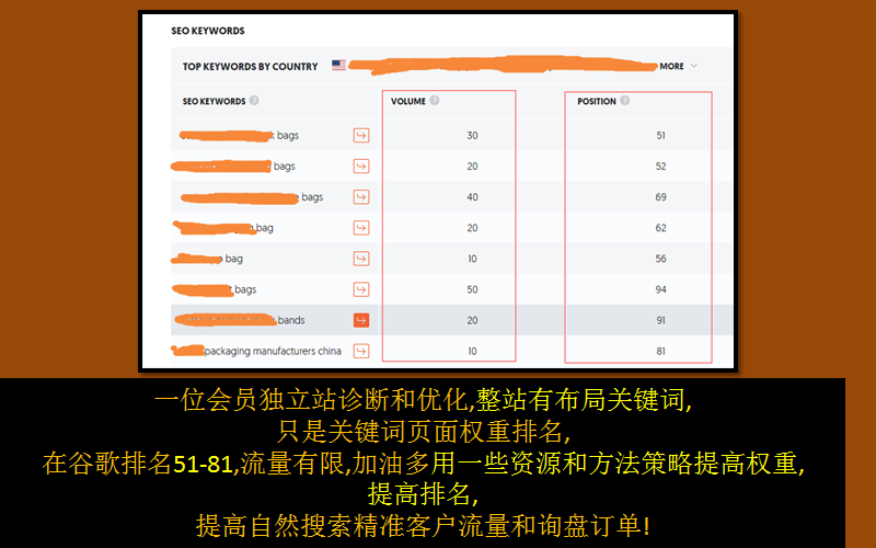 一位会员独立站诊断和优化,整站有布局关键词,只是关键词页面权重排名,在
