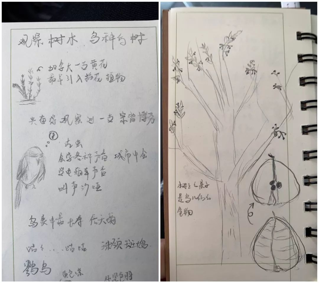 飞羽简谱_飞羽一简谱(2)