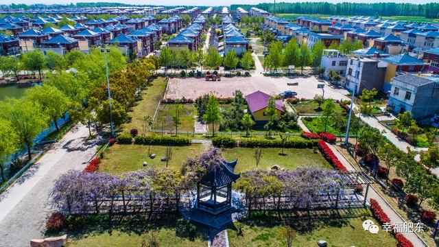 陈集镇总人口_仪征市陈集镇图片(2)