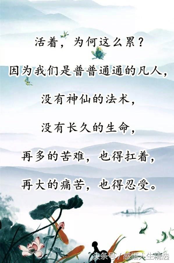 d960369c2cf64ca59294b5479e7a9173.jpeg