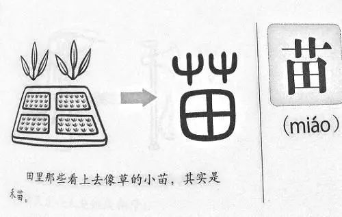 年是独体字还是什么 e8dec57a7a5f4ed1aee4f32dc5121d1e.jpeg