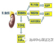 二,库欣综合征