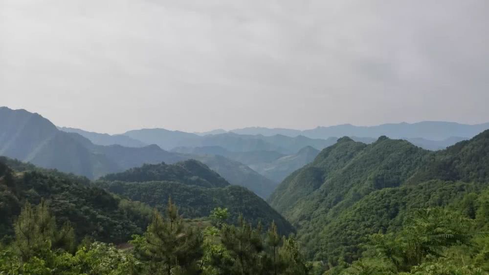 山阳人口_山阳中学图片