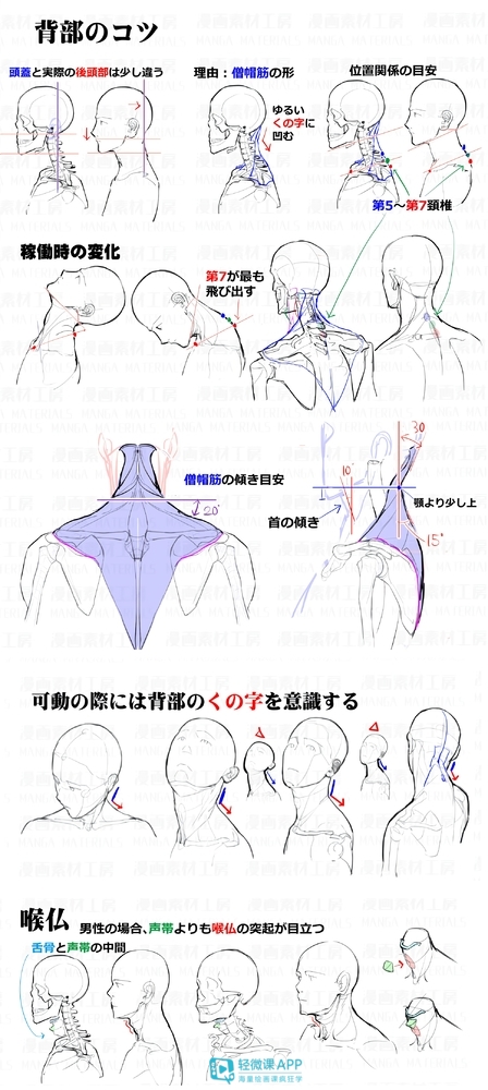 专栏文章