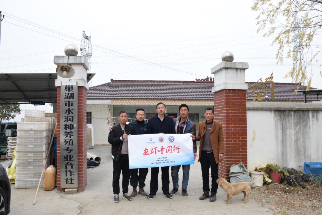 社褚镇人口_社褚镇