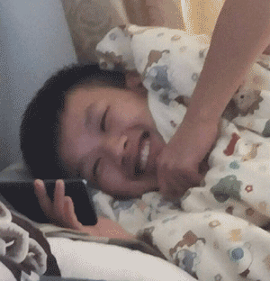 300_312gif 动态图 动图