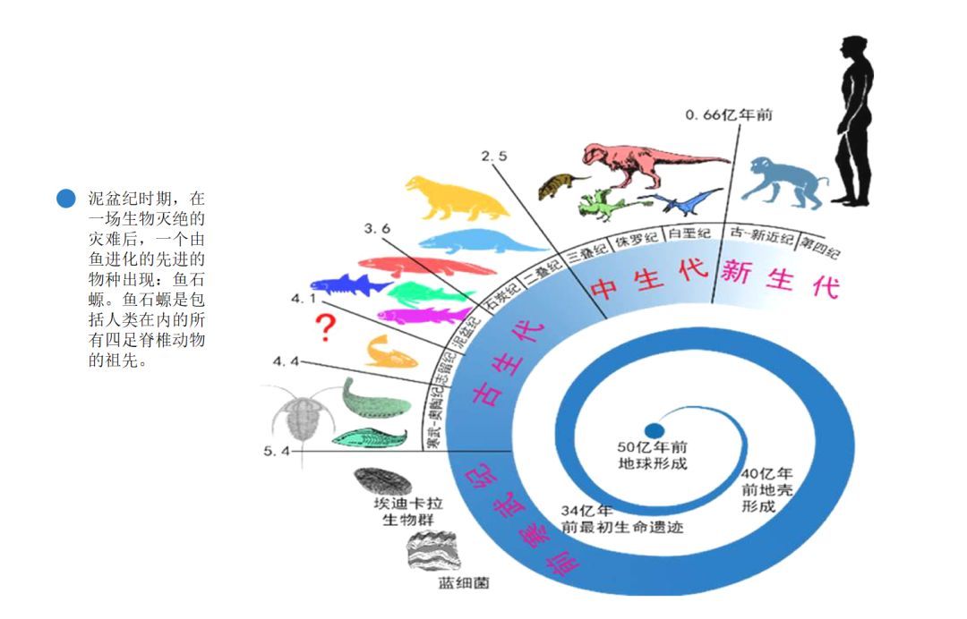 地球合理人口_地球跟皮球合理(3)