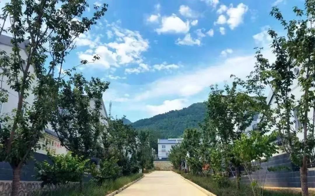 毛家峪村经济总量_毛家峪图片(3)