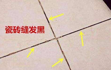 13dc599b3eba45f2a3d10f1021a5161c.jpeg
