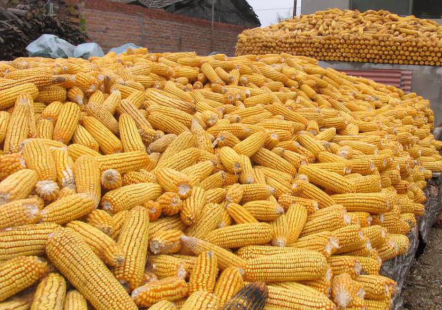 三月三十号能打除草剂吗 1aa764445c00472883384dc8ba57bcc7.jpeg