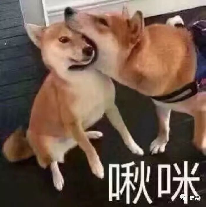 怎么让自己看起来有贵气 24033b7f35a04188a9704c9a57d66909.jpeg