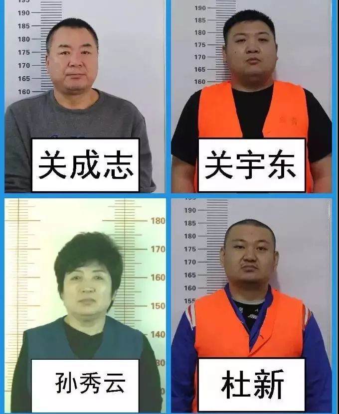 关于征集关成志(绰号:关大力,关宇东等人组织,领导,参加黑社会性质