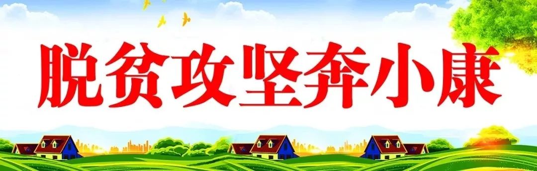 脱贫攻坚奔小康 || 临夏县"三变 富民产业"鼓起农民钱袋子