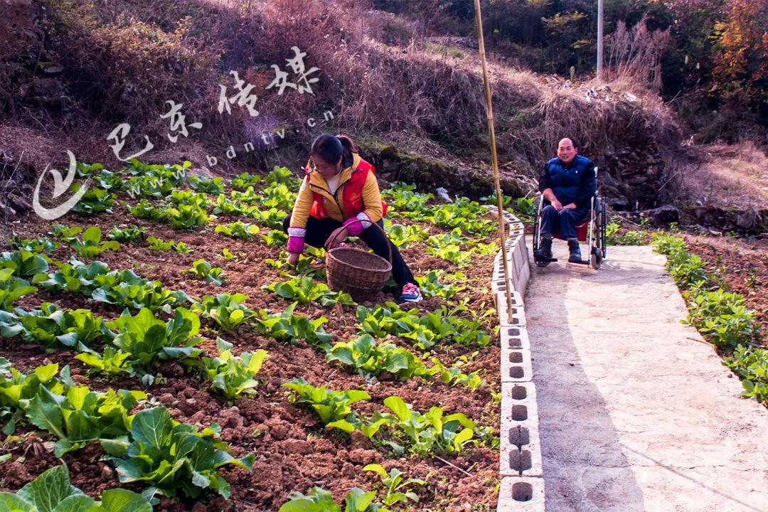 叶谭镇人口_哥谭镇小丑图片