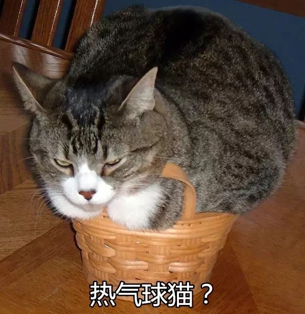 39ffd11a61654acdb2417f7db9dfa57d.jpeg