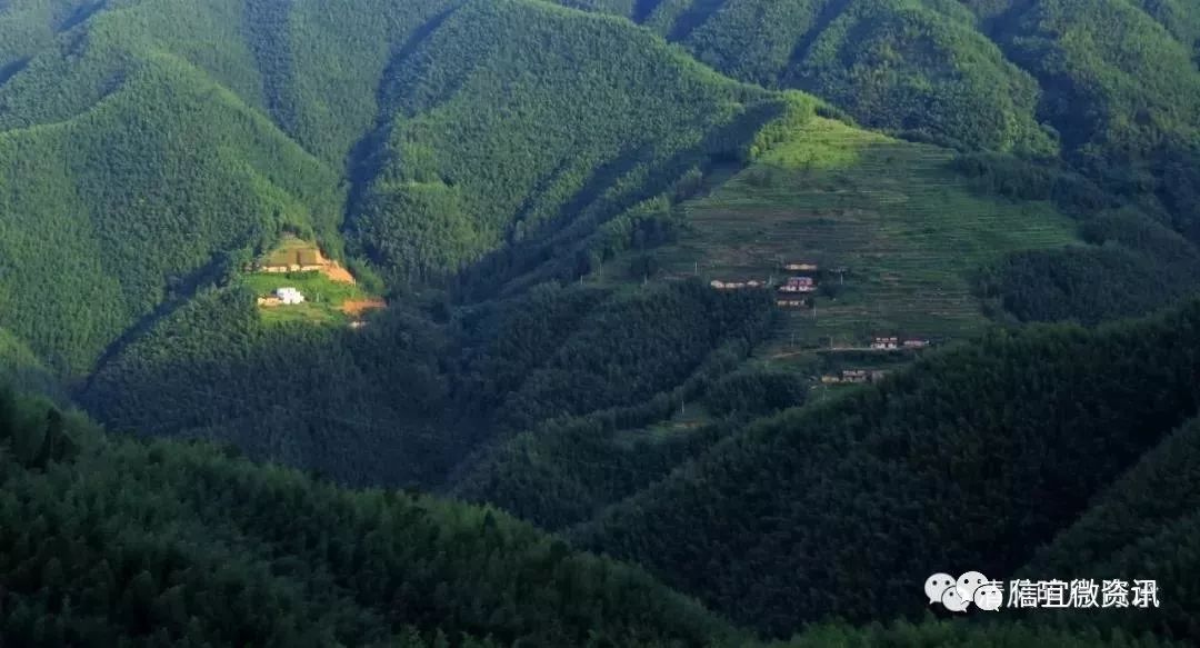 马安山多少人口_马安山花园(3)