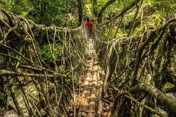 为了修建别墅而建的 世界最自然的桥 在印度的乞拉朋齐 乞拉朋齐降水