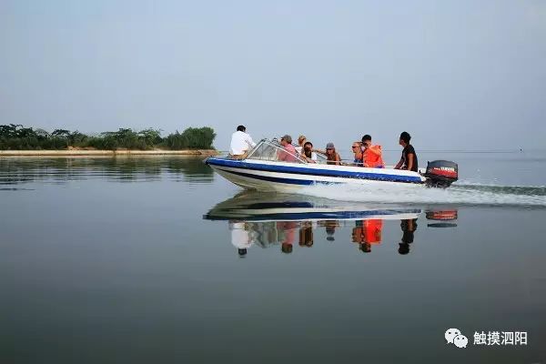 泗阳人口变化_泗阳变化图片