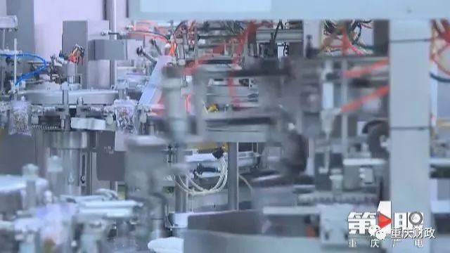 民营经济最大总量_最大的蜘蛛(2)