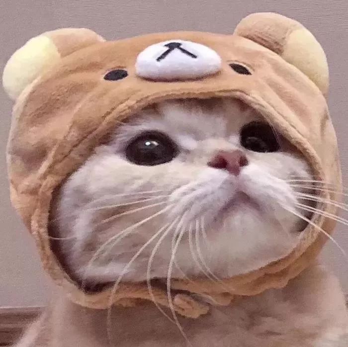 ȳ趯ϵиͷ