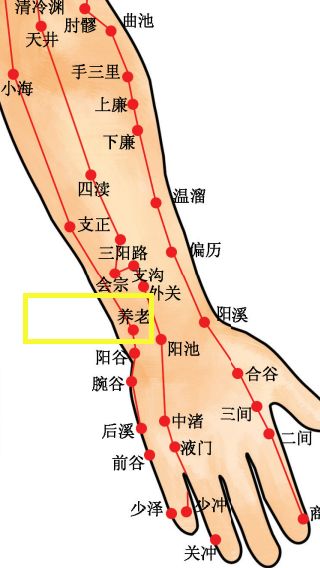 穴位知识十二经脉手太阳大肠经之养老穴